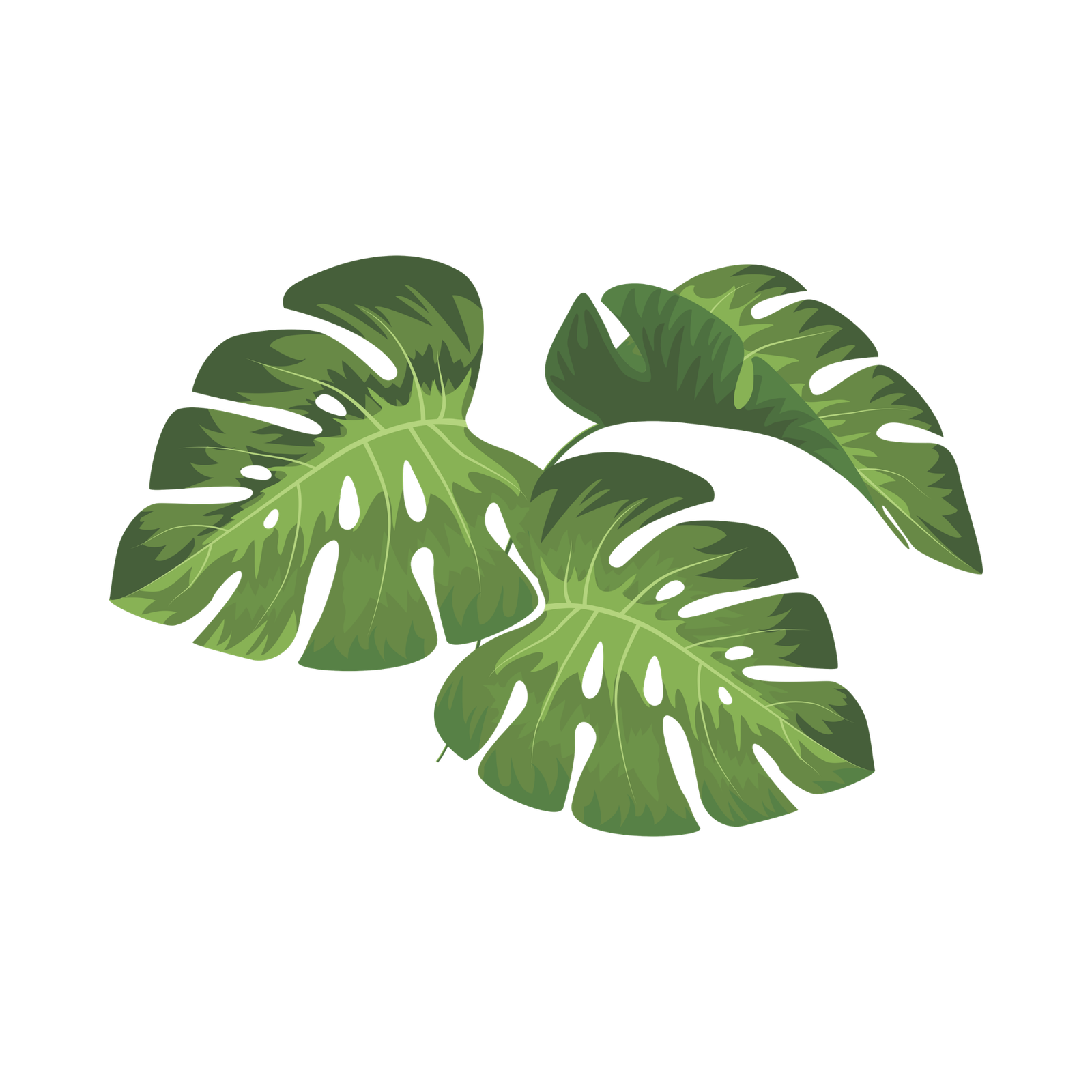 hoja (1)